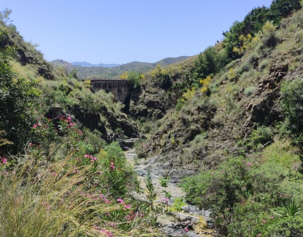 9 rutas para empezar a descubrir el P.N. de los Montes de Málaga haciendo plogging