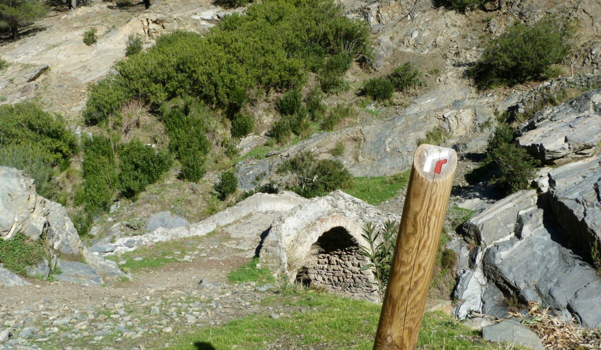 Guided Walking Andalusia
