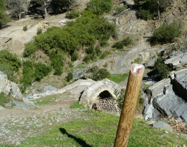 Guided Walking Andalusia